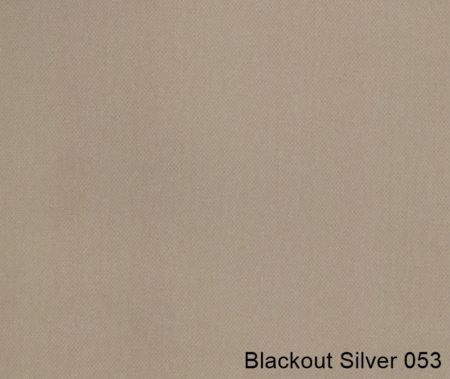 Blackout-Silver-053