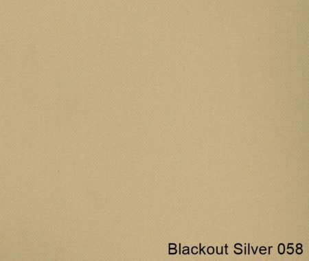 Blackout-Silver-058
