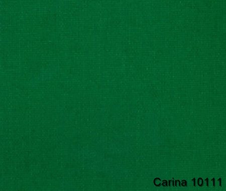Carina-10111