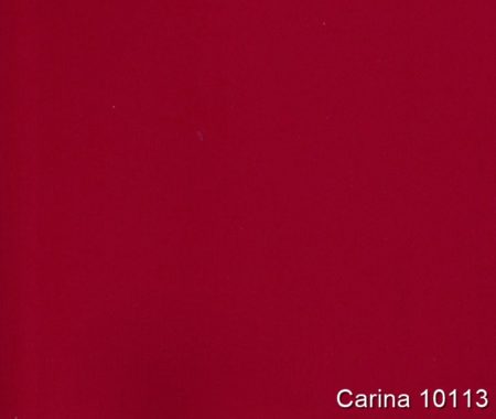 Carina-10113