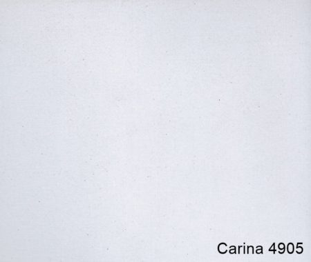 Carina-4905