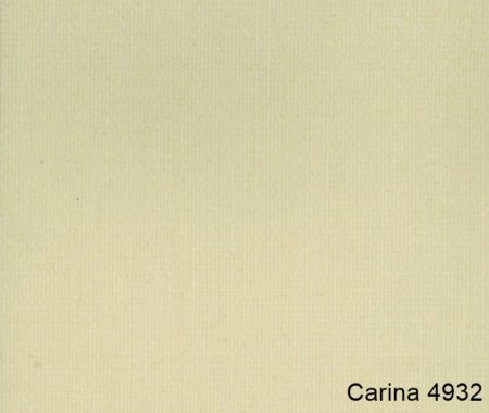 Carina-4932