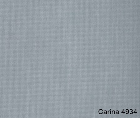 Carina-4934