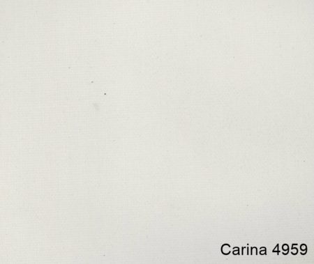 Carina-4959