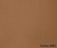 Carina-4961