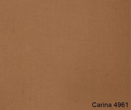 Carina-4961