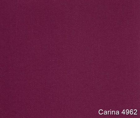 Carina-4962