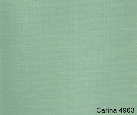 Carina-4963