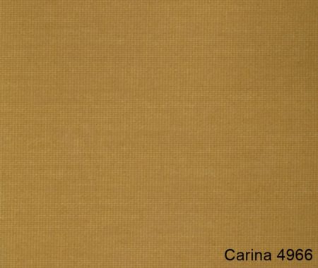 Carina-4966