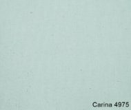 Carina-4975