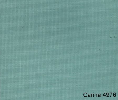 Carina-4976