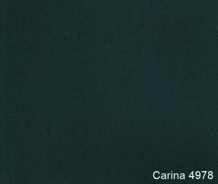 Carina-4978