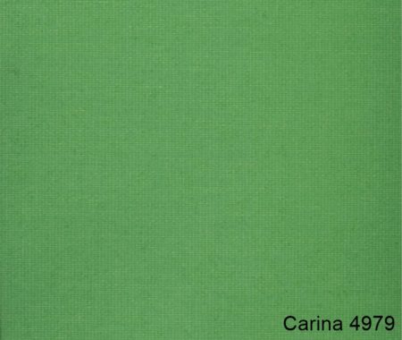 Carina-4979