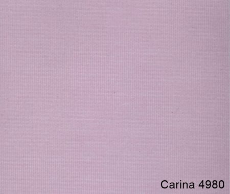 Carina-4980
