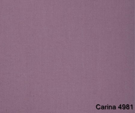 Carina-4981