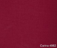 Carina-4982
