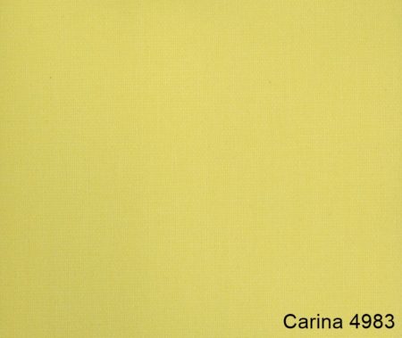Carina-4983