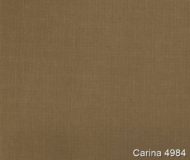 Carina-4984