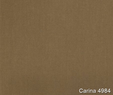 Carina-4984