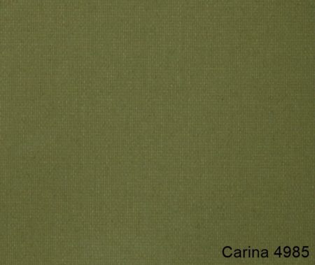 Carina-4985
