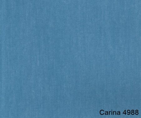 Carina-4988