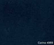 Carina-4989