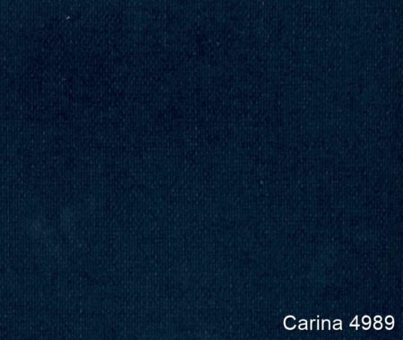 Carina-4989