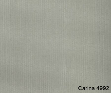 Carina-4992