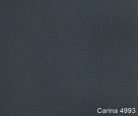 Carina-4993