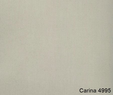 Carina-4995