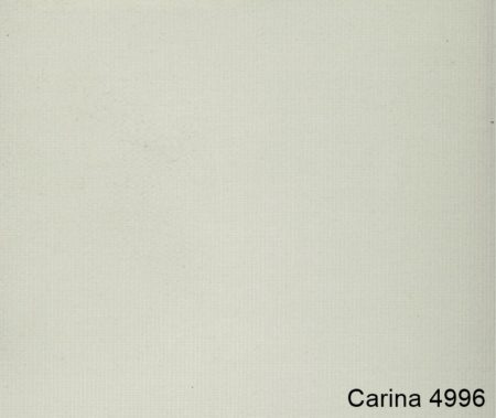 Carina-4996
