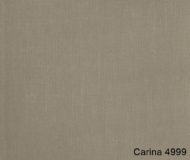 Carina-4999