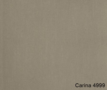Carina-4999