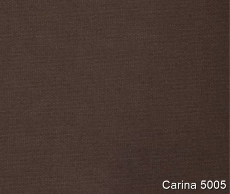 Carina-5005