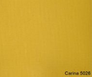 Carina-5026