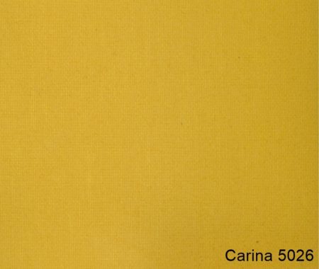 Carina-5026