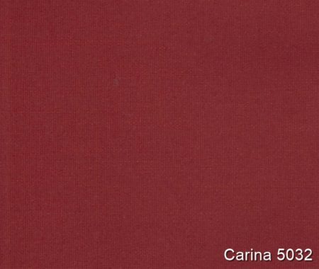 Carina-5032