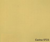 Carina-5723