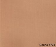 Carina-5724