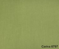 Carina-6797