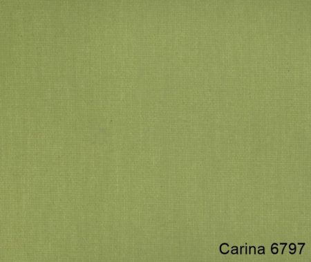 Carina-6797