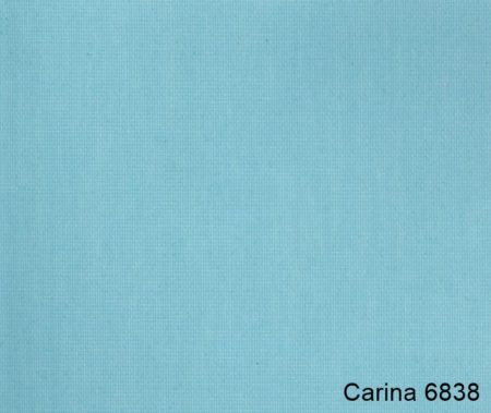 Carina-6838