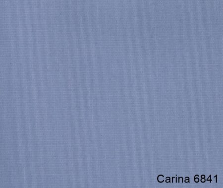 Carina-6841