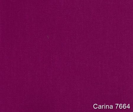 Carina-7664