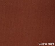Carina-7666
