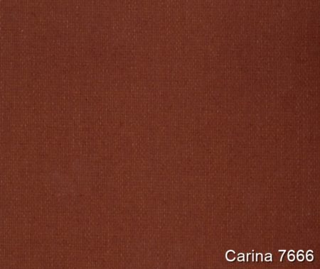 Carina-7666