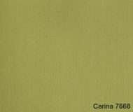 Carina-7668