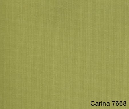 Carina-7668