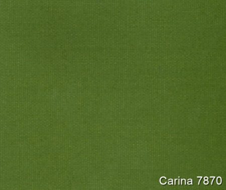 Carina-7870