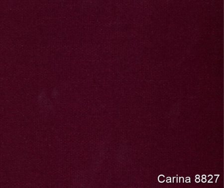 Carina-8827
